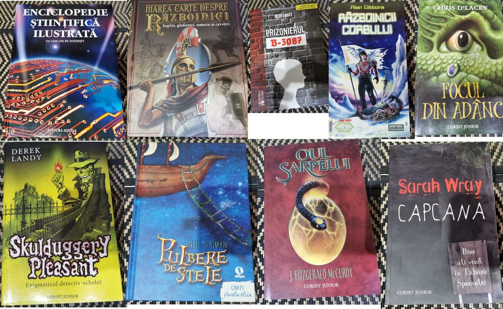 Cărți dicționare și reviste - copii adolescenți adulți diverse