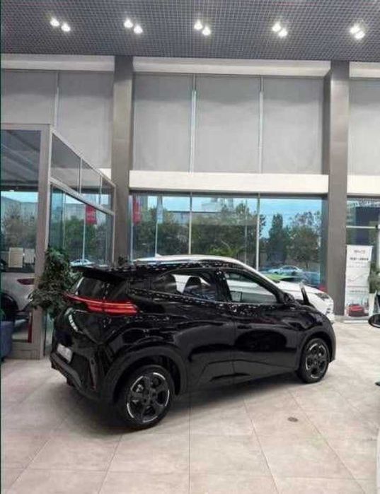 Byd Seagull naqd va halol nasiya