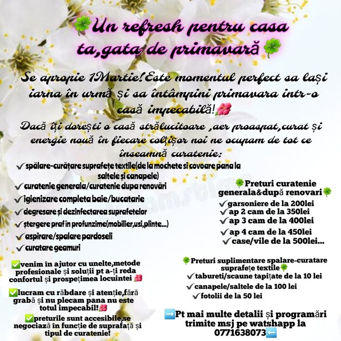 Servicii de curatenie și spalare-curatare suprafețe textile