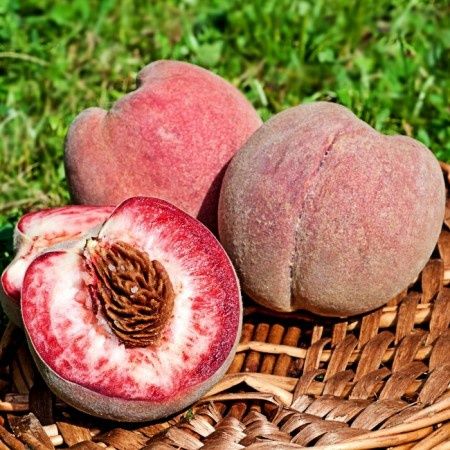 Pomi Fructiferi (Soiuri Deosebite )