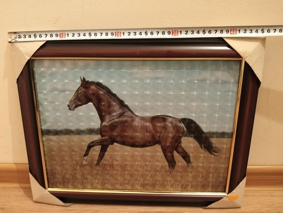 Картина про коней
