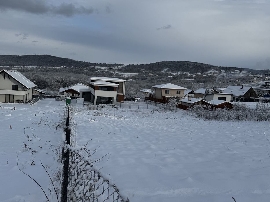Teren intravilan 1711 mp Sãlicea