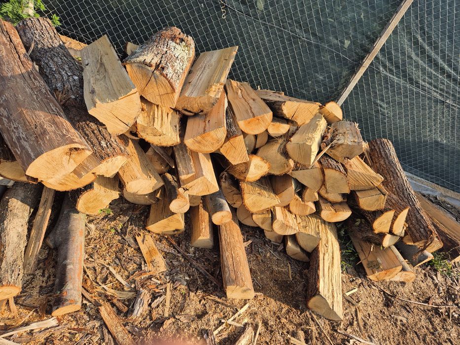 Lemne pentru foc esențe tari