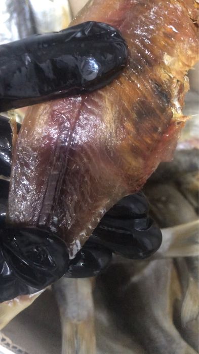 Майлы рыбец балығы(вяленый)