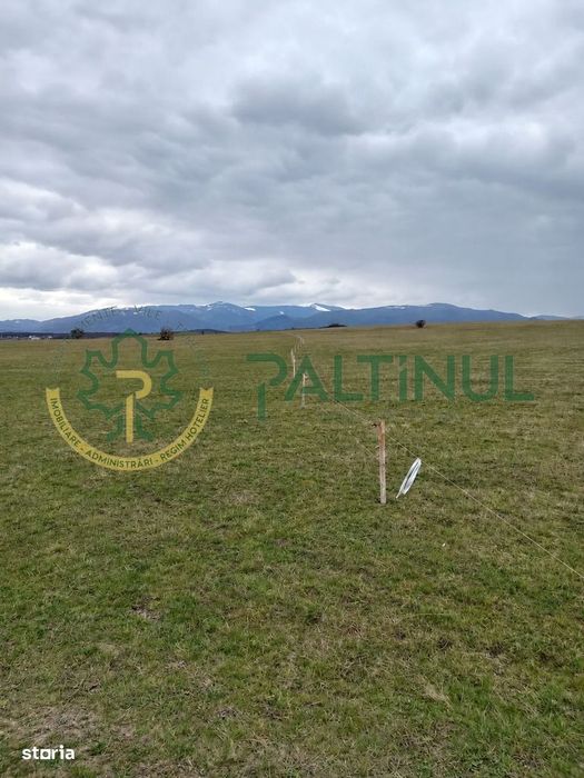 Teren de vanzare, 4.000 MP, Șelimbar, Zona Ion Art, investitie