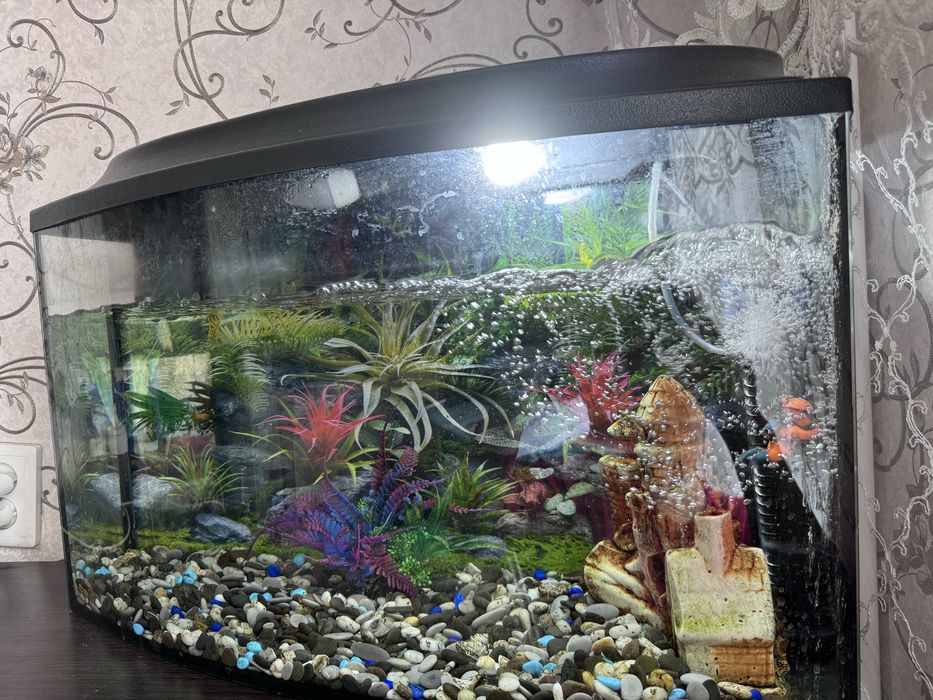 Продам аквариум 60 литров