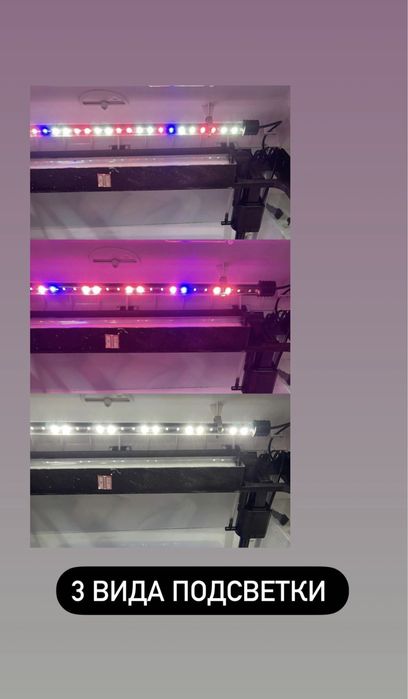 Новый Заводской аквариум