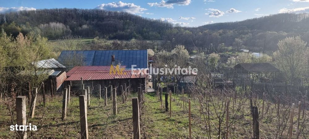 Casă P+M cu 1.558 mp teren, livadă și garaj