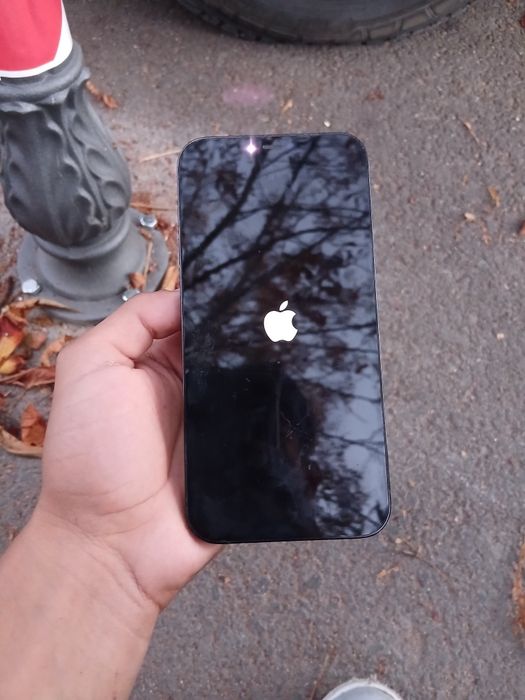 Iphone 12 pro max ca nou