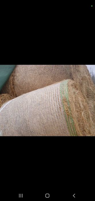 Baloții de fan si lucerna