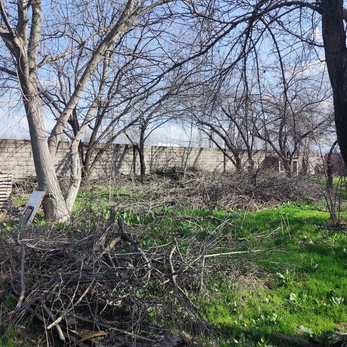 Сухие дрова фруктовых деревьев