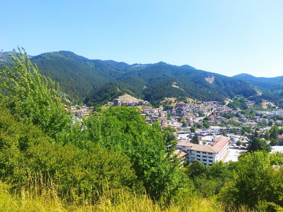 Продава се Парцел в Девин - 6627 кв.м за 61 €/кв.м - Снимка #9