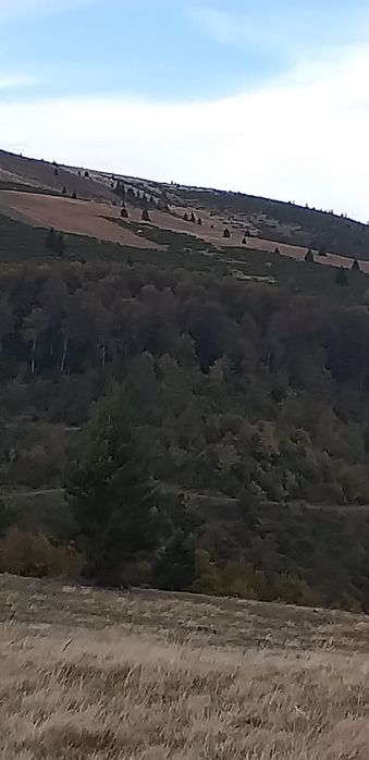 Curățări pasune, terenuri nelucrate