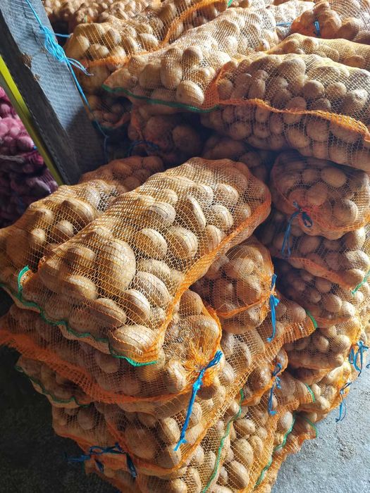 Vand cartofi de consum alb si rosu