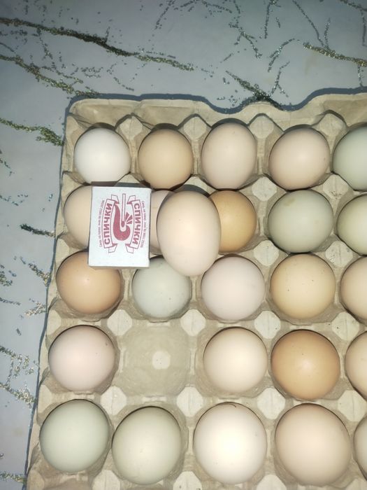 Домашние яйца...