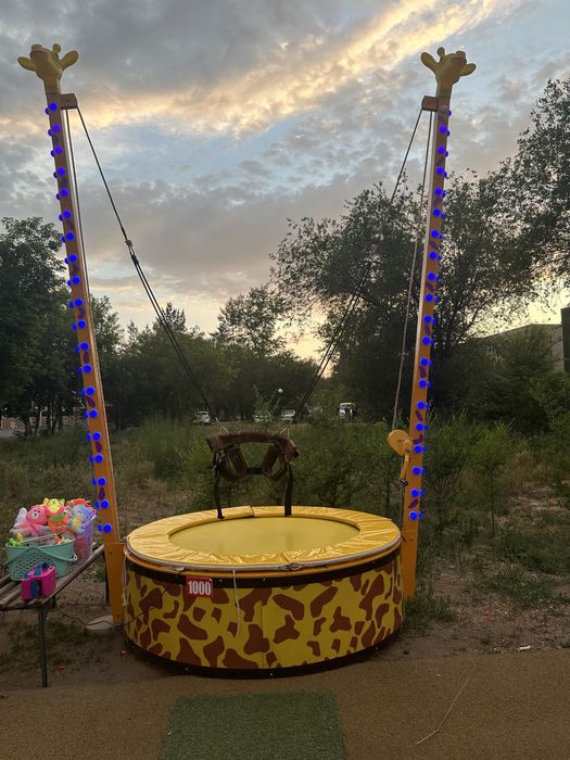 Аттракцион тарзанка