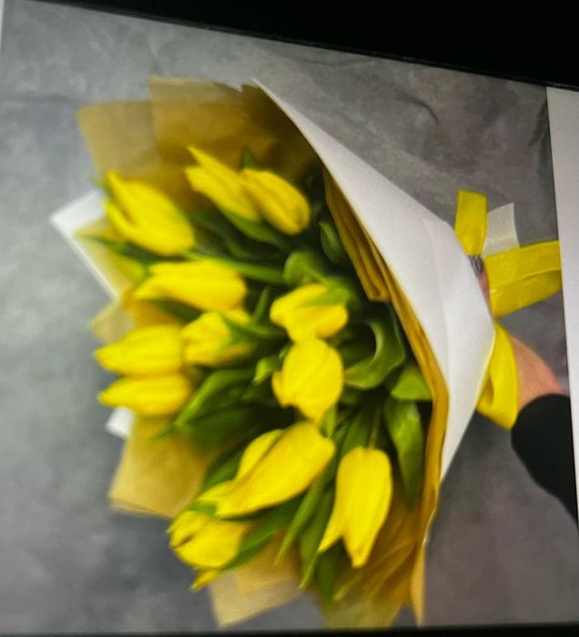 Тюльпаны к 8 марта и 14 февраля.