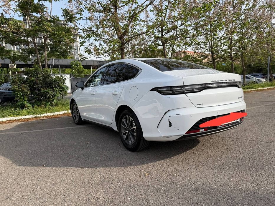 Other Chazor 2024 — 3