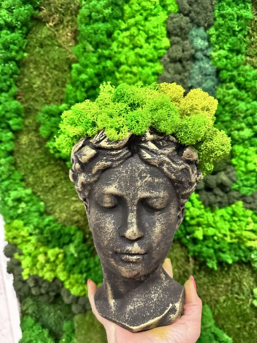 Cadouri Trandafiri criogenati