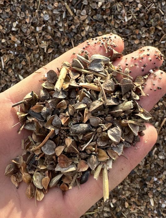 Продам корма, гречка, отходы