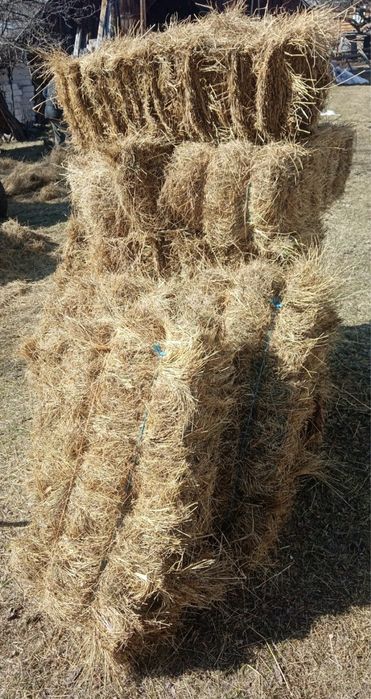 Baloți de fân uscat