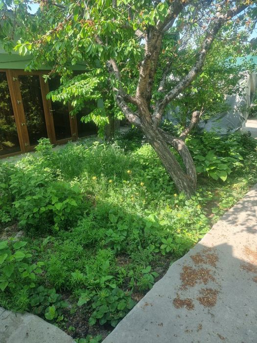 Срочно продается дача !!!