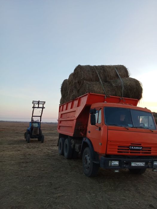 Сено луговое этого года