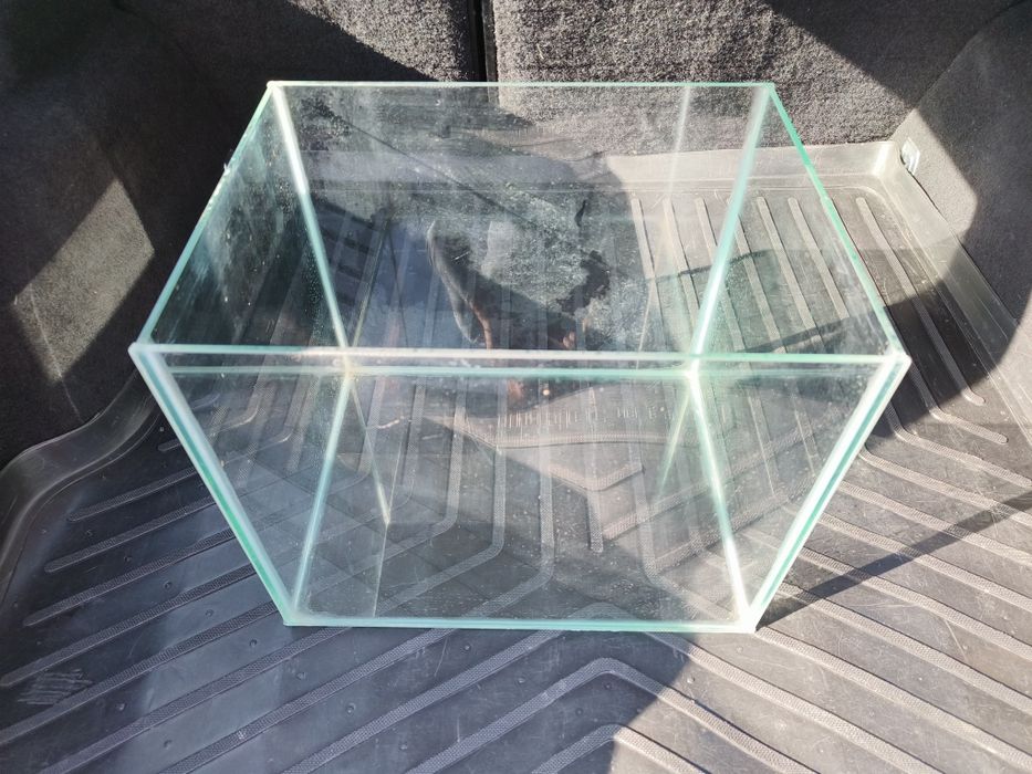 Acvariu, peste, hamster, sticla, cusca, colivie