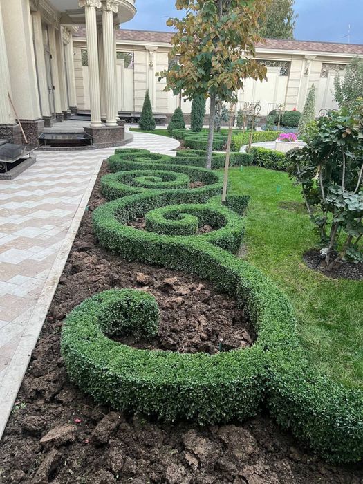 Landshaft va gazon | ландшафтный дизайн и рулонные газоны