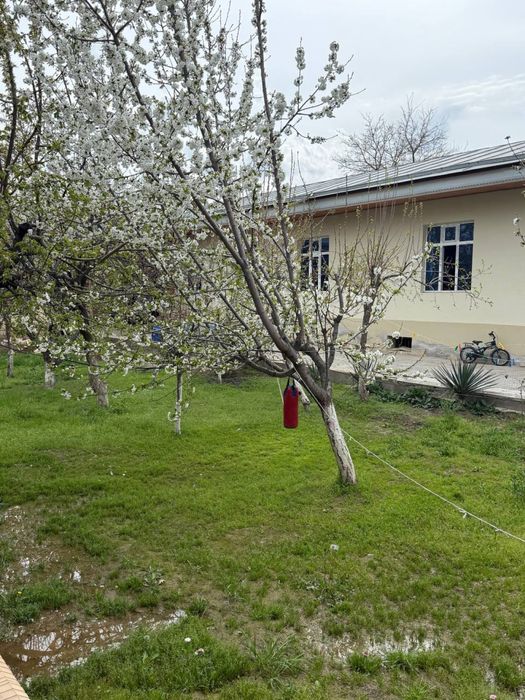 Hovli seliskiy ray gaz 6 sotix