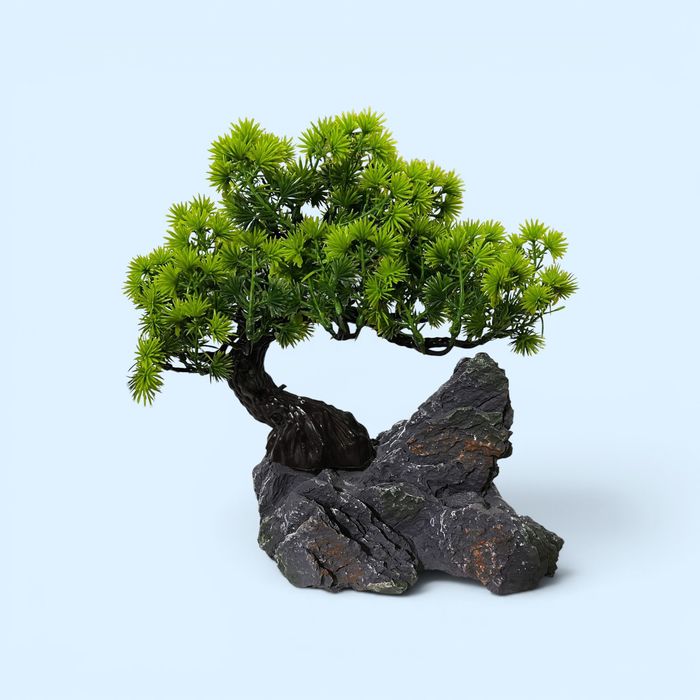 Faqat Akvarium uchun