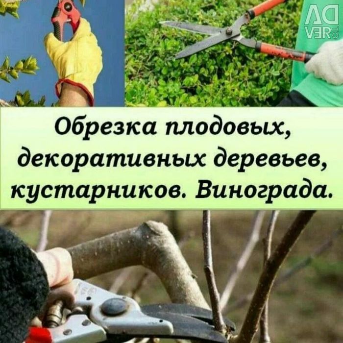 Обработка, всех деревьев Обрезка - Стрижка - Спил деревьев, Садовник .