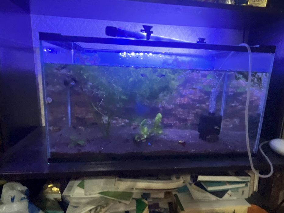 60литровый аквариум продается