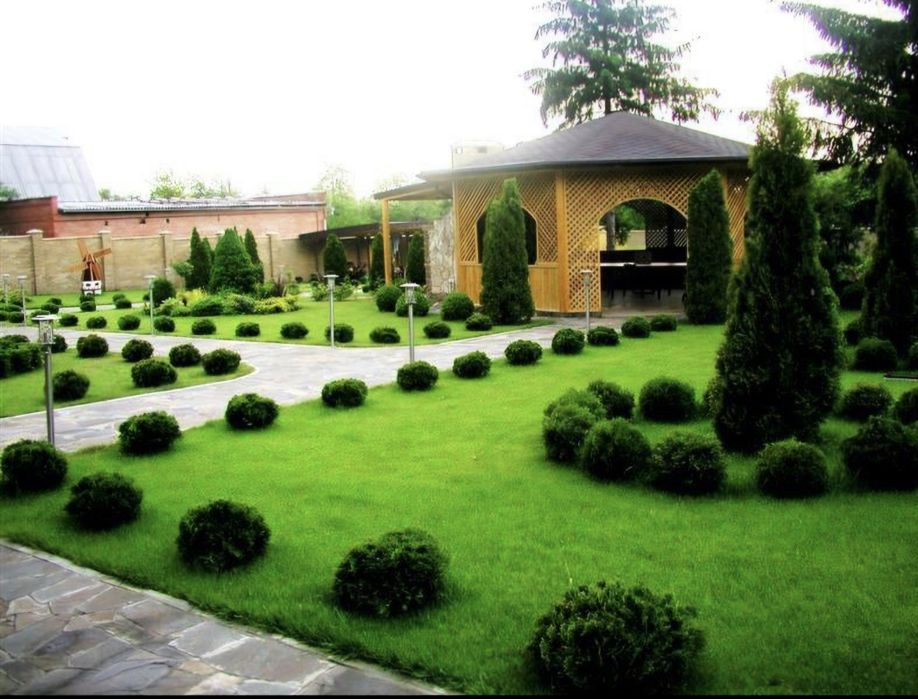 Газон ТАЙЁРИ ва ЕКИБ чикариш хизмати