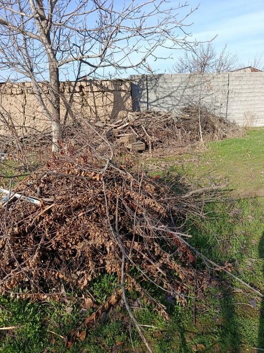 Òtin sotiladi suratdagi hamasi