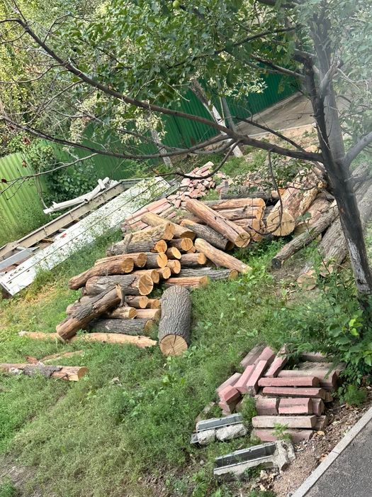 Продаём дубовые брёвна после распила сухие