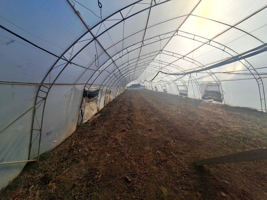 Продавам оранжерии Тервел