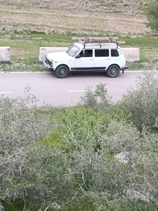 Niva 4x4 2131 ..