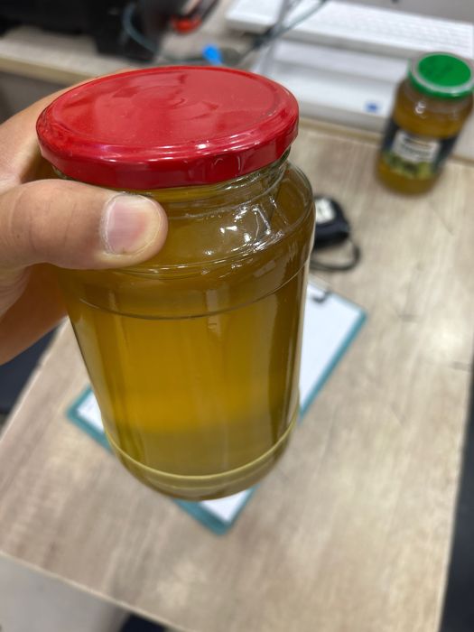 Asal bor toza asal yantoqdan olingan asal