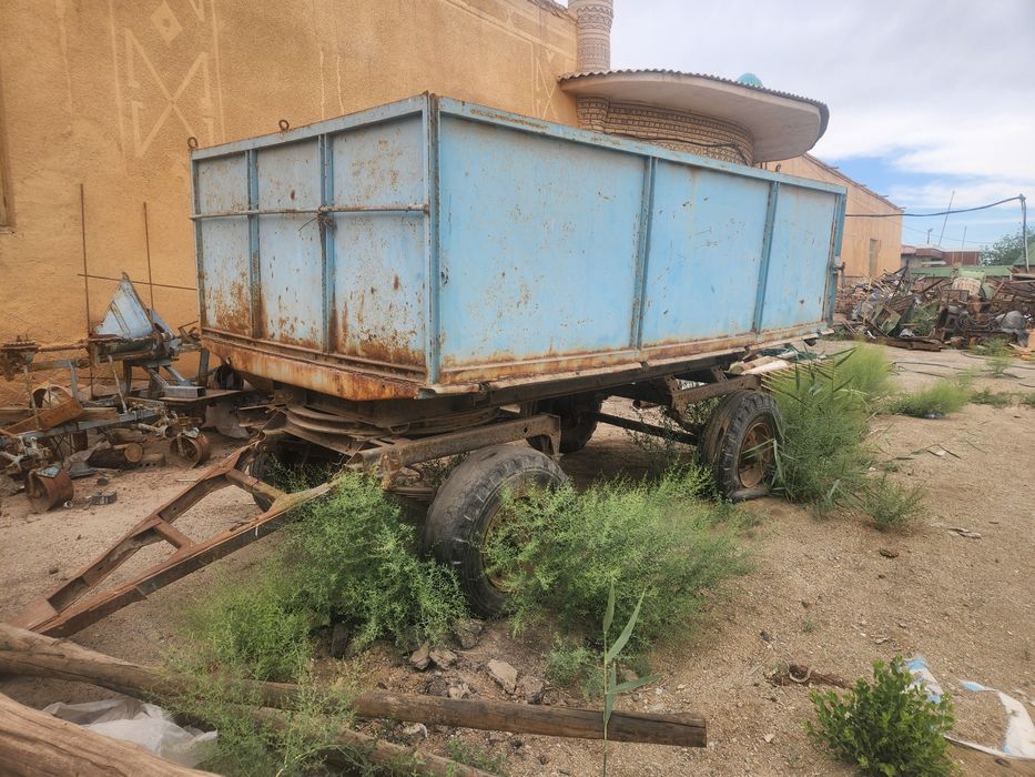 Трахтир телашкаси