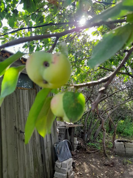 Срочно! Продам дачу! Район Бобровка