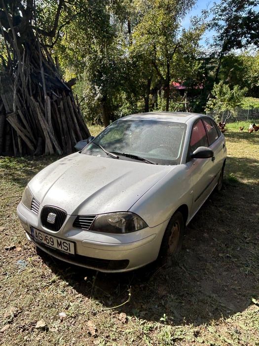 Seat Ibiza 1.2 benzina