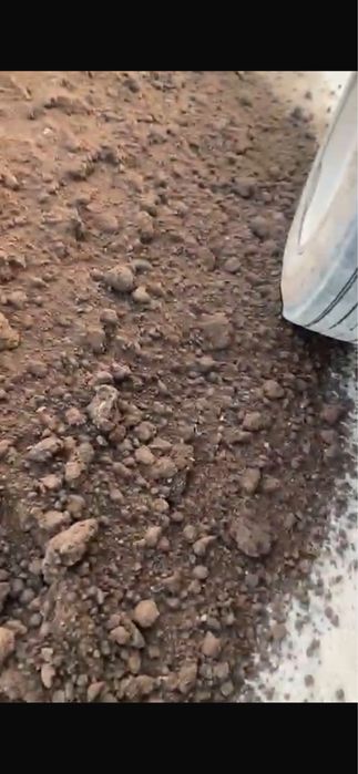 Продается навоз баранина (Қи сатылады)