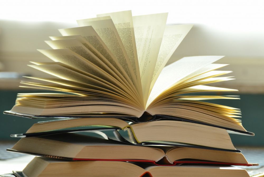 Meditații limba și literatura română