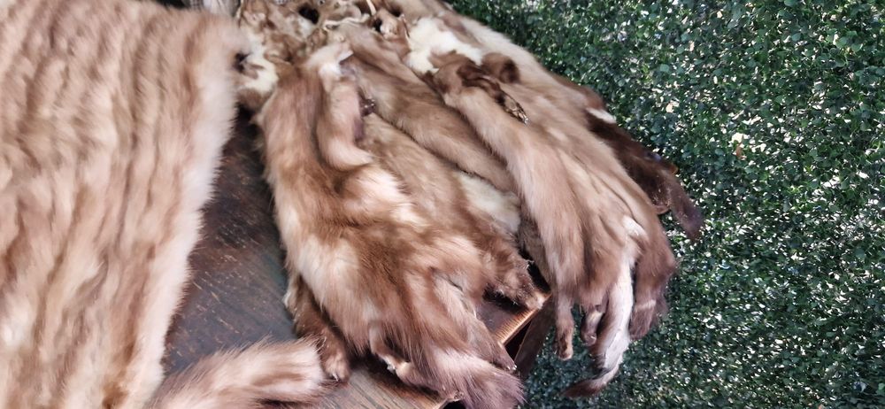 Blănuri naturale vechii