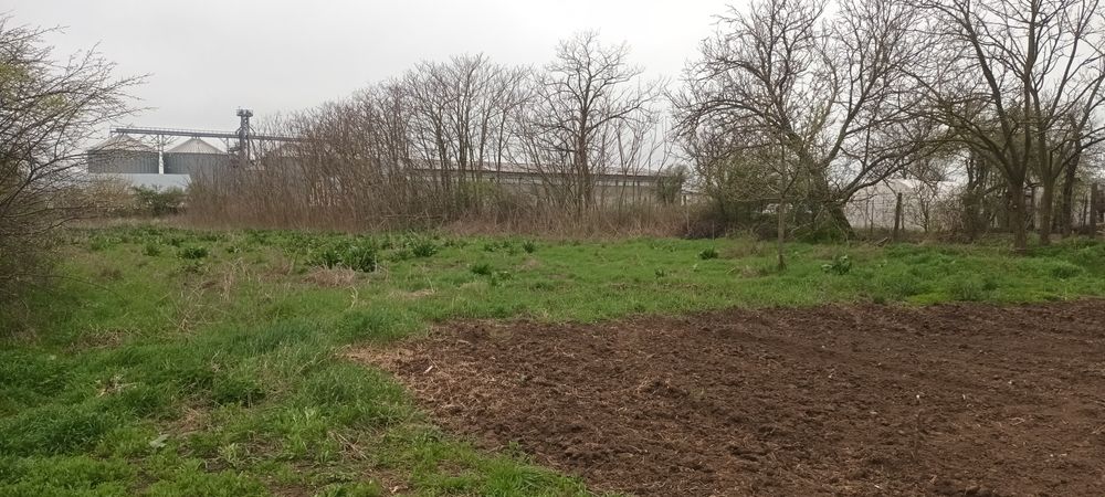 Teren intravilan arabil 3846 mp, Topraisar.Zona buna,sub pretul pietei
