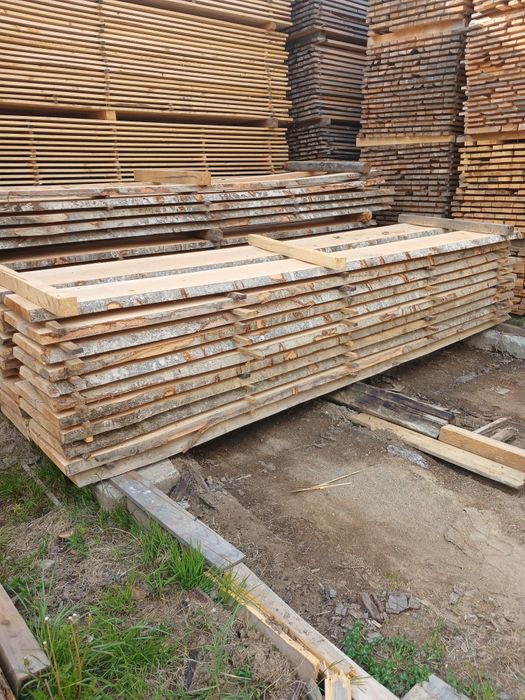 Cherestea netivita fag, bustean gater fag