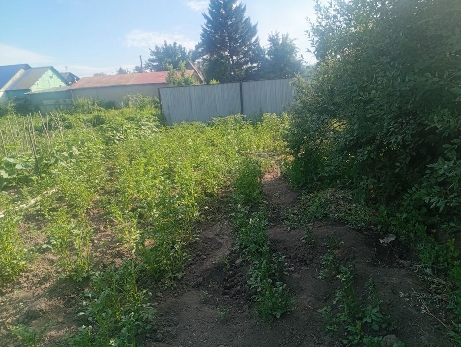 Продам дачу в пос.Мирный 2 млн торг