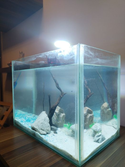 Vând acvariu de 40 de litri