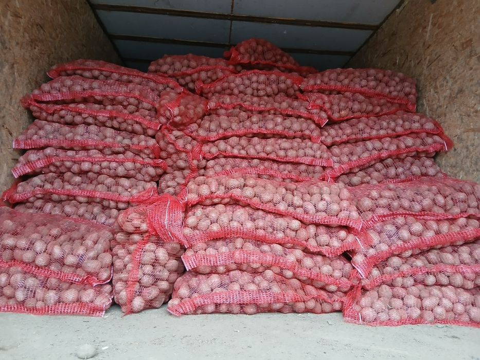 Cartofi de samanta  074[060]45[98)